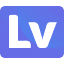 Leadview.io