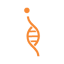 Reveal Mobile