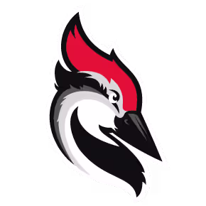 Woodpecker